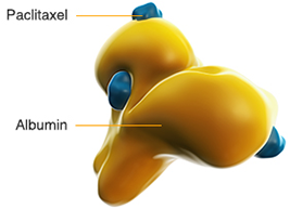 The medicine in ABRAXANE, paclitaxel, is bound to albumin.