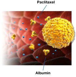 ABRAXANE travels through the bloodstream to reach cells in many parts of the body, including cancer cells.